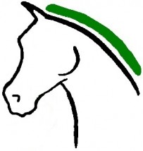 www.equi-point.pl pasze dla koni