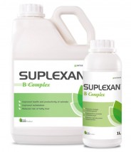  Suplexan B Complex